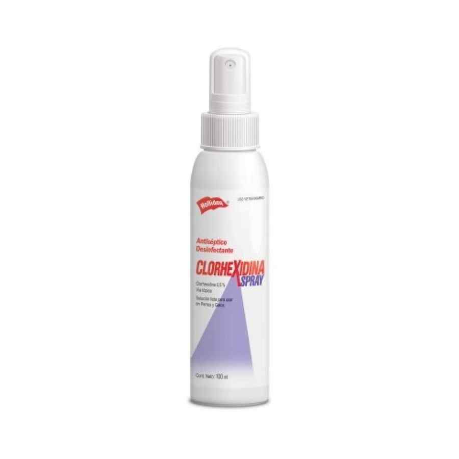 Holliday Clorhexidina Spray 100ml, , large image number null