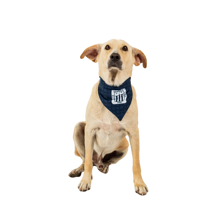 Bandana  Alterna Alianza Lima Colección 2025, , large image number null