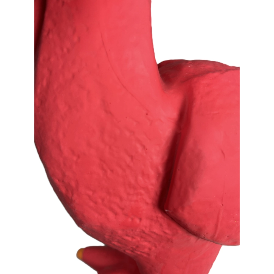 Chew Funny Chicken Toy, , large image number null