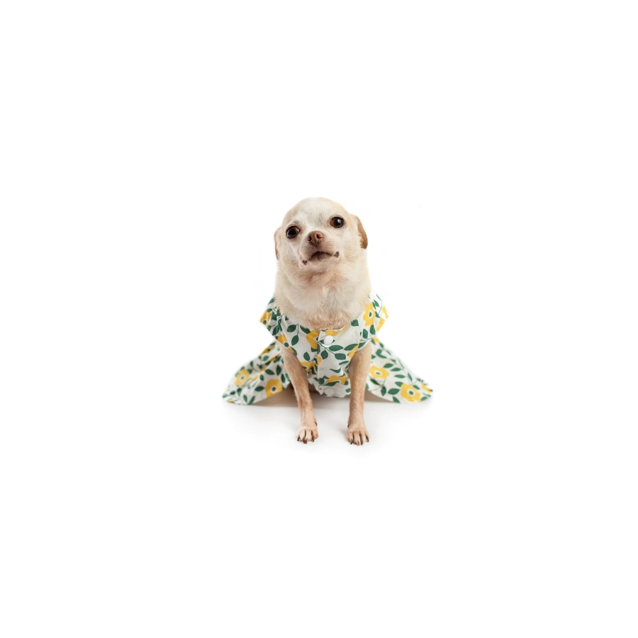 Lmb Vestido Flores, , large image number null
