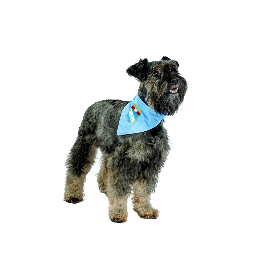 Bandana Oficial Sporting Cristal Colección 2025, , large image number null