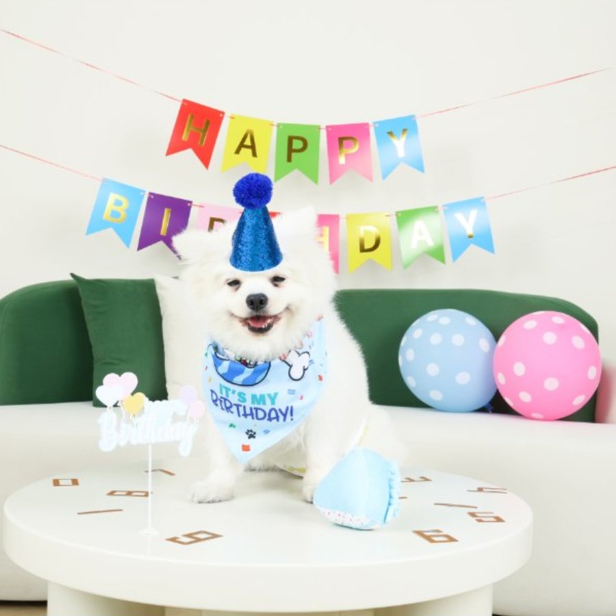 Petjoy Partytime Dog Gentleman'S Set, , large image number null