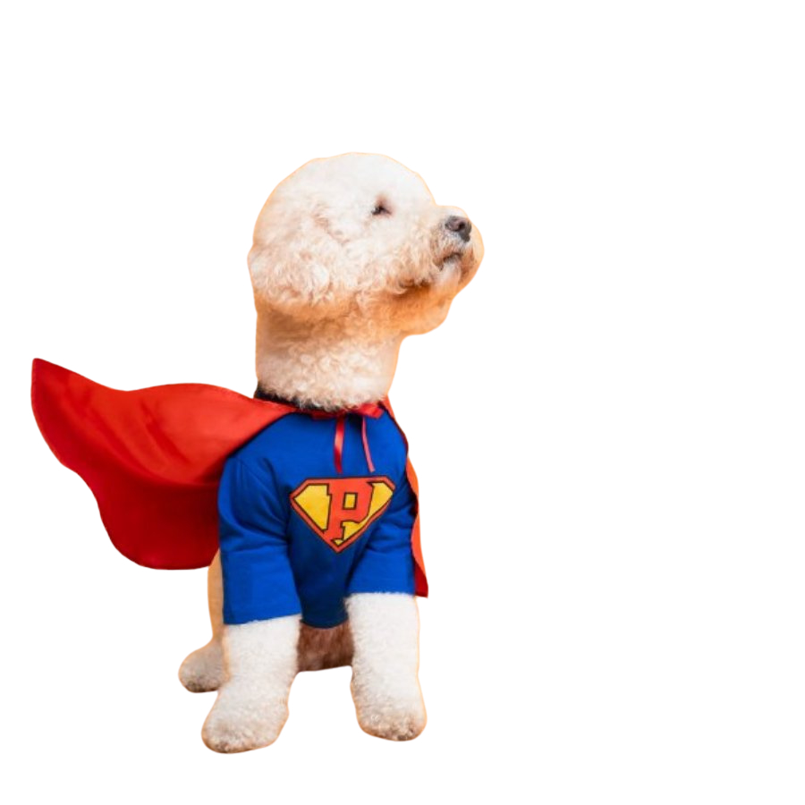 Disfraz Super Perro