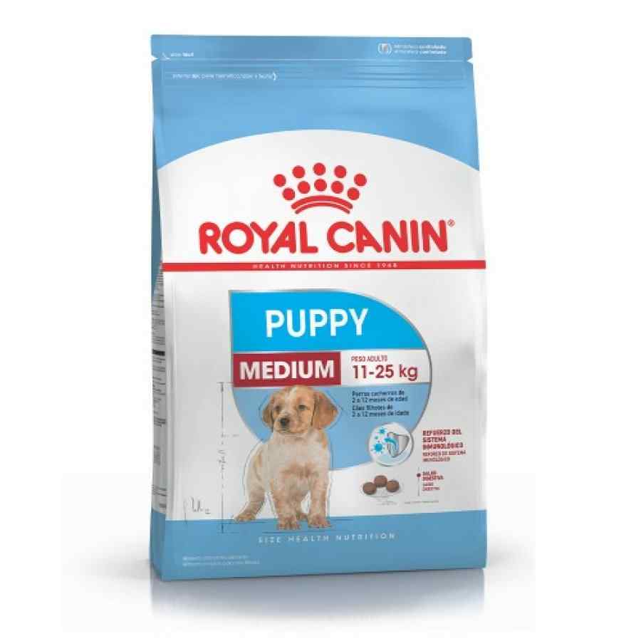 Royal Canin Shn Medium Junior Alimento Seco Perro