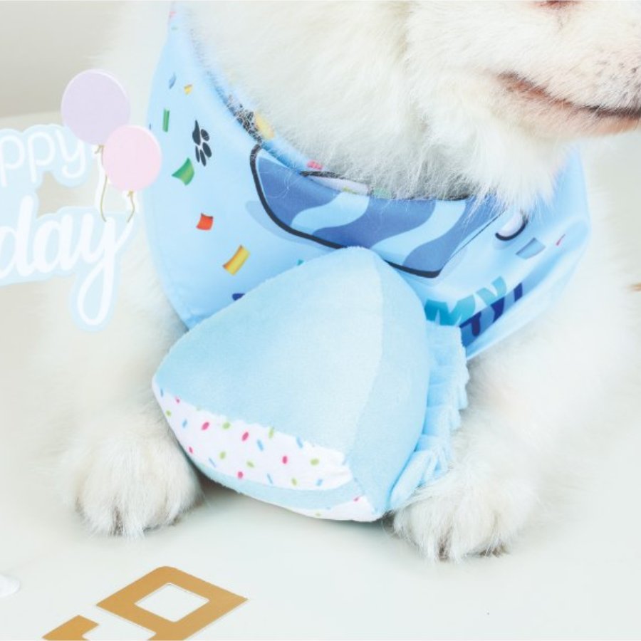 Petjoy Partytime Dog Gentleman'S Set, , large image number null