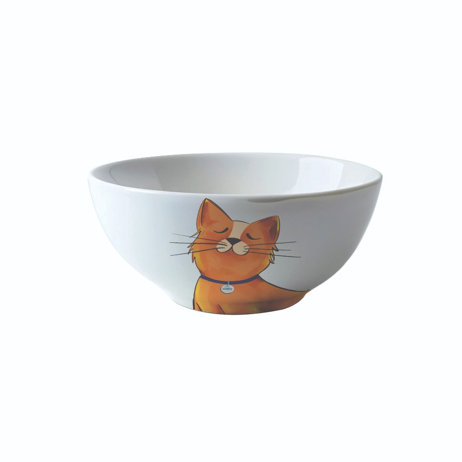 Petjoy Bowl Galya Bright 550 Ml