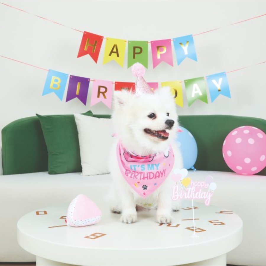 Petjoy Partytime Dog Lady'S Set, , large image number null
