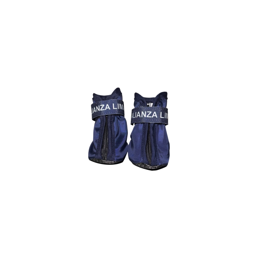 Zapato Oficial Alianza Lima, , large image number null