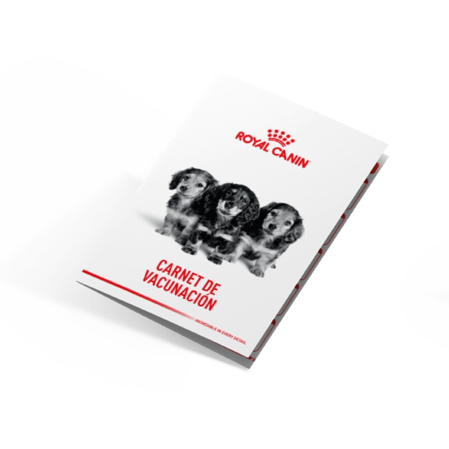 Pack Xsmall Puppy 500 G, , large image number null