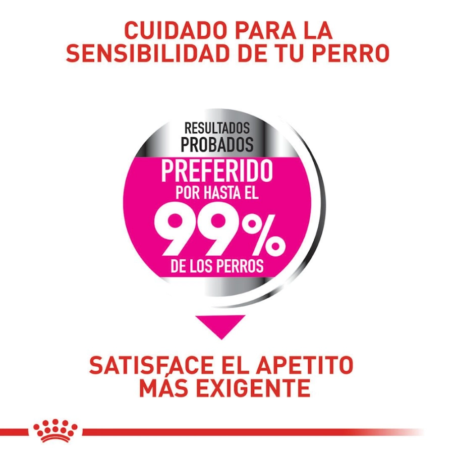 Royal Canin Perro Ccn Mini Exigent 3 Kg, , large image number null
