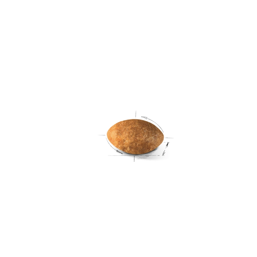Royal Canin Gato Fbn Persian Adult, , large image number null