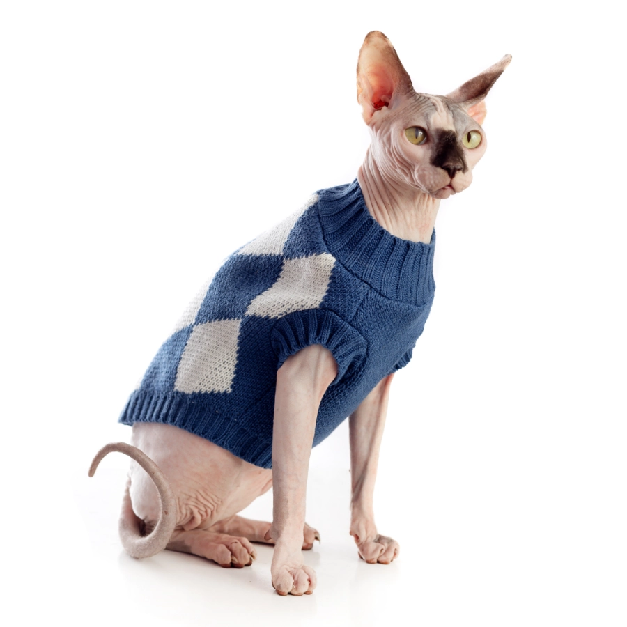 Lmb Sweater Azul, , large image number null