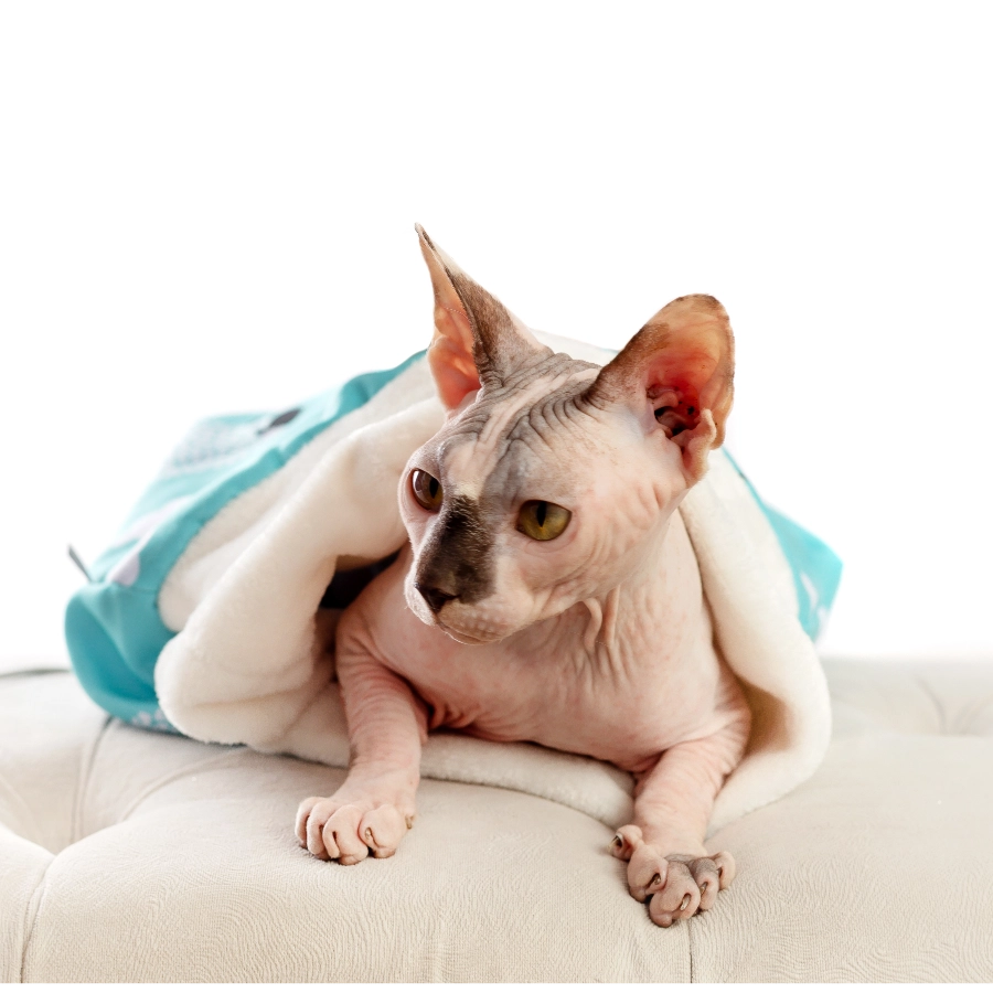 Lmb  Pet Sleeping Bag Talla S, , large image number null