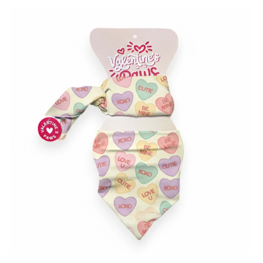 Valentines Paws Bandana Mas Pa&ntilde;oleta, , large image number null