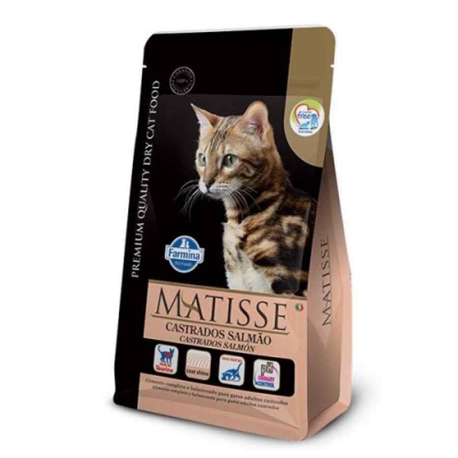 Matisse Castrados Salmon Alimento Seco Gato