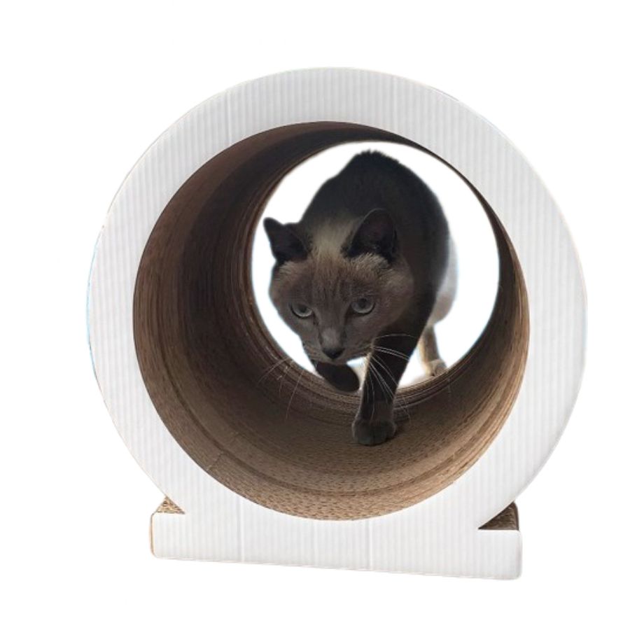 Rascat gatitunel rascador  30x30x30