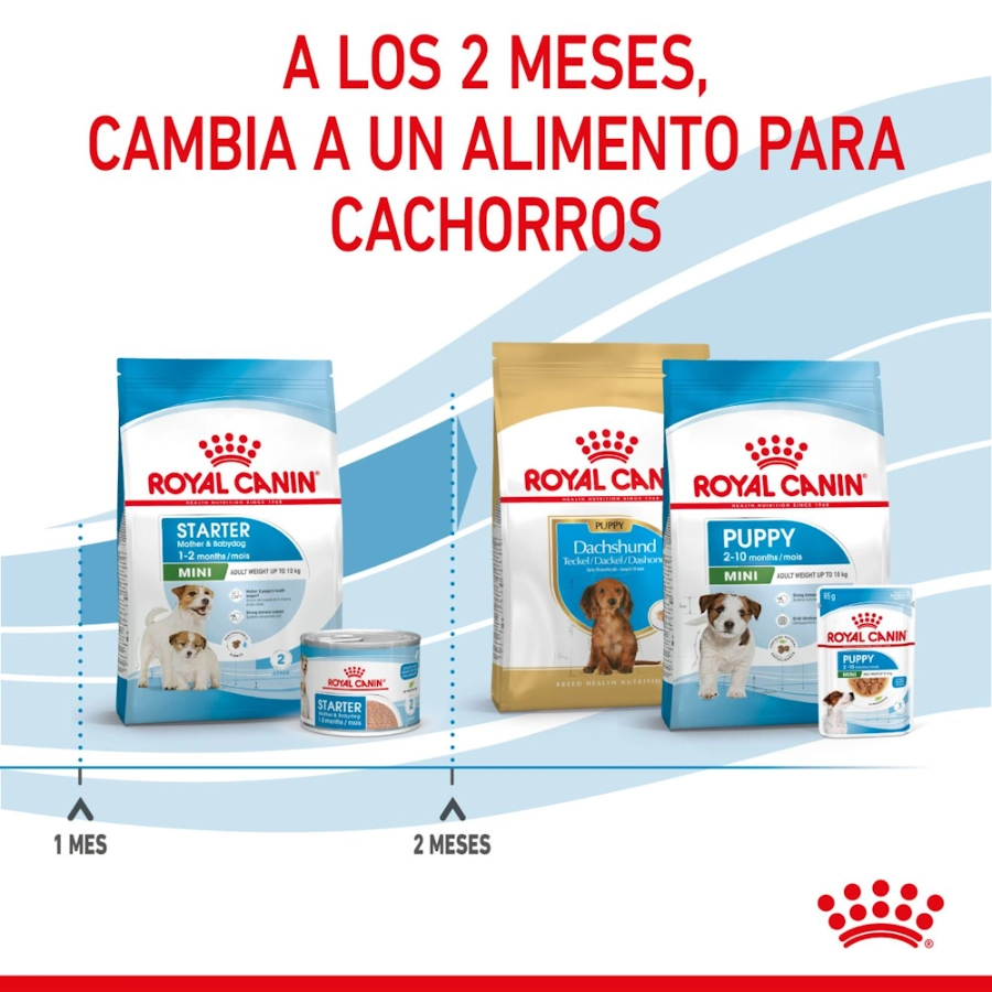 Royal Canin Perro Shn Mini Starter Mother & Baby 4Kg, , large image number null