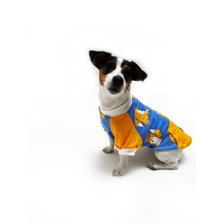 Yupi The Pug - Polo Surtido Macho, , large image number null