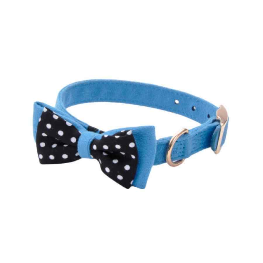 Coastal Collar Perro 5/8"