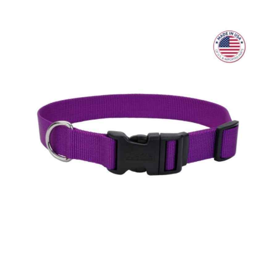 Coastal Adjustable Dog Collar With Plastic Buckle, Purple