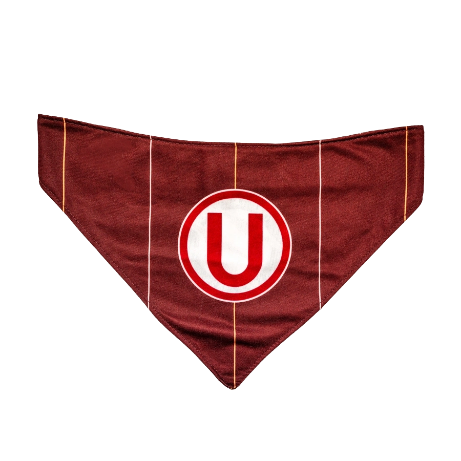 Bandana Alterna Universitario Colección 2025, , large image number null