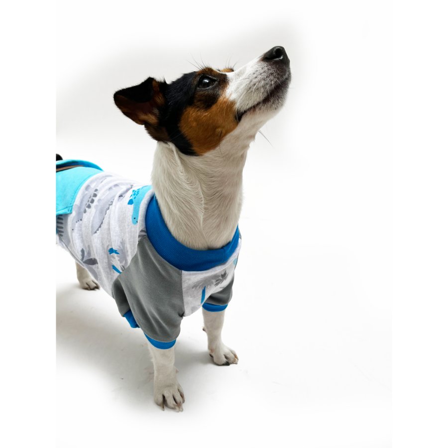 Yupi The Pug - Polo Surtido Macho, , large image number null