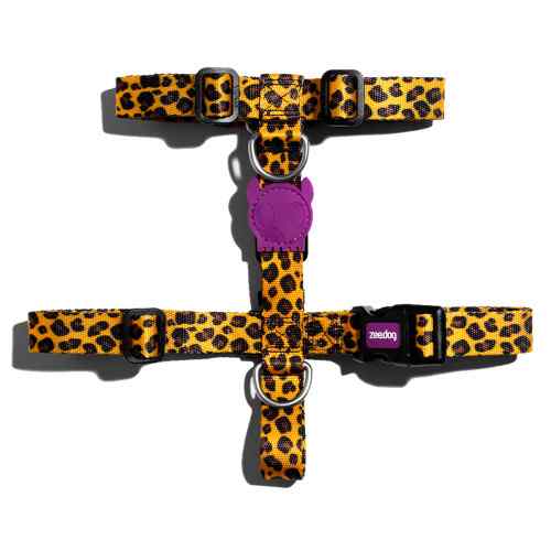 Zeedog Honey H Harness L, , large image number null