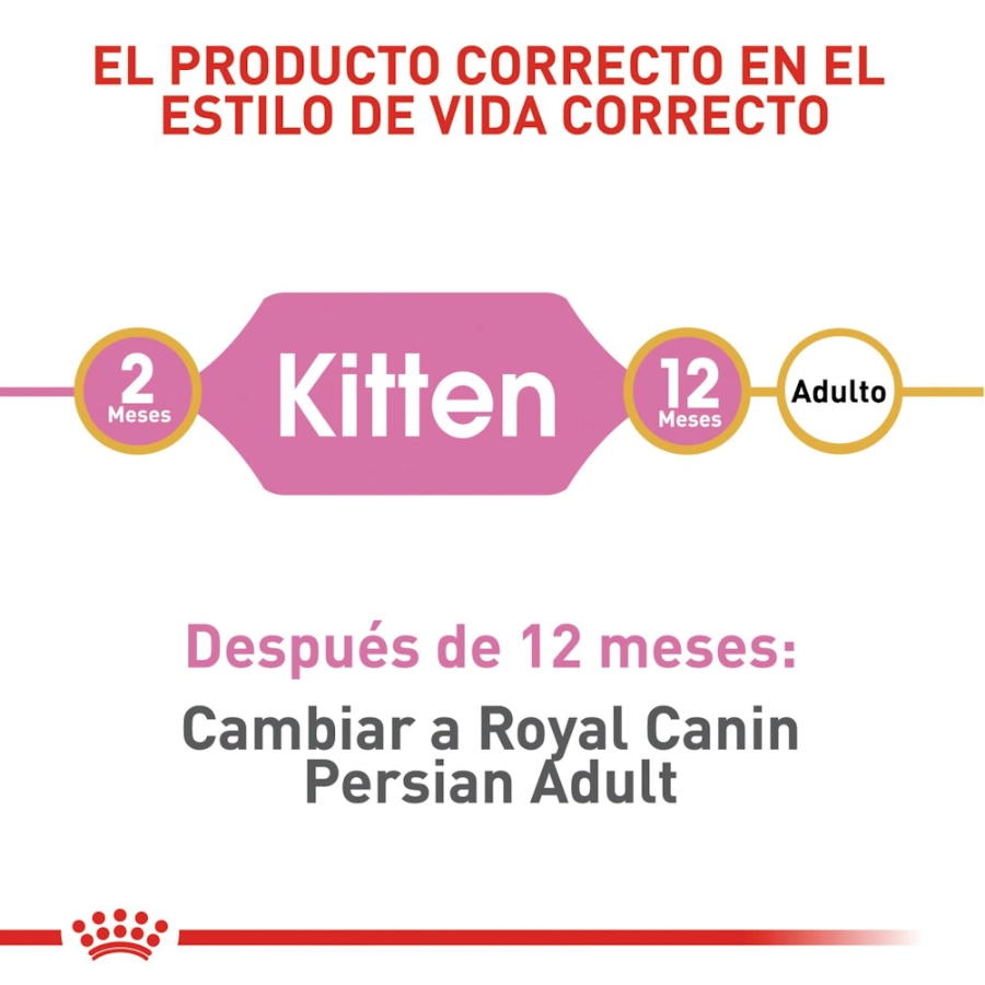 Royal Canin Gato Fbn Persian Kitten, , large image number null