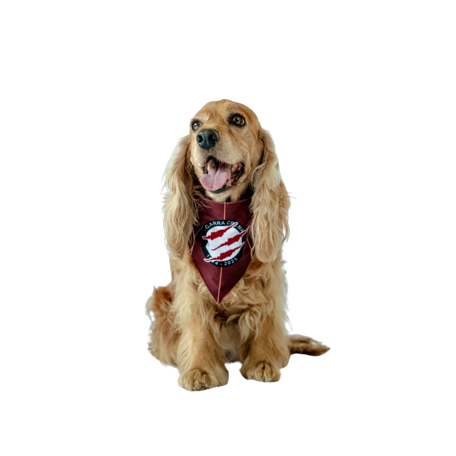 Bandana Alterna Universitario Colección 2025, , large image number null