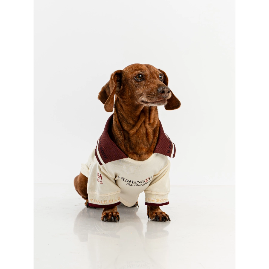 Camiseta Oficial Colecci&oacute;n 2026 Universitario, , large image number null