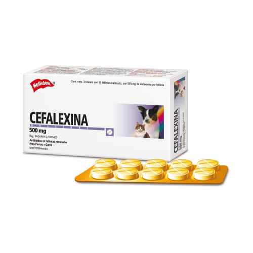 Holliday Cefalexina 500Mg Antibiotico Blister X 10Unid, , large image number null