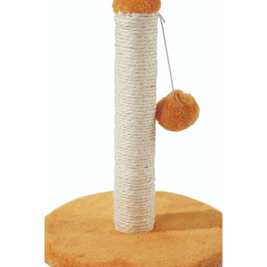 Mpets My First Cat Poste Y Pompom Para Gatitos, , large image number null