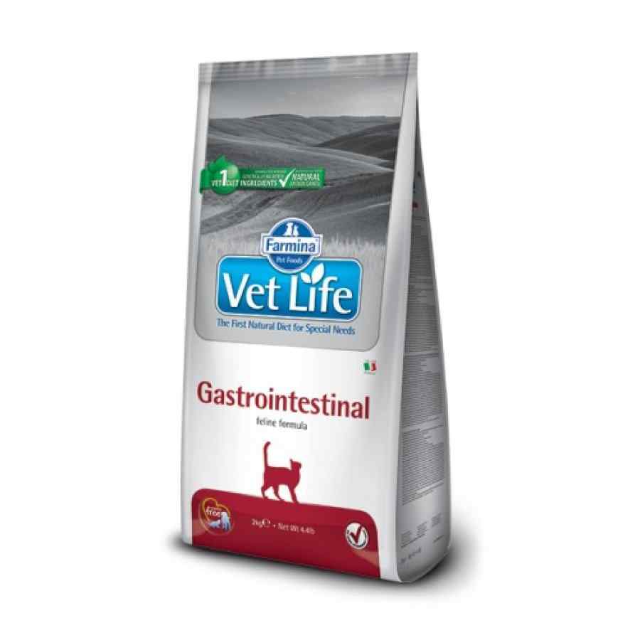 VetLife Gastro Intestinal 2 Kg