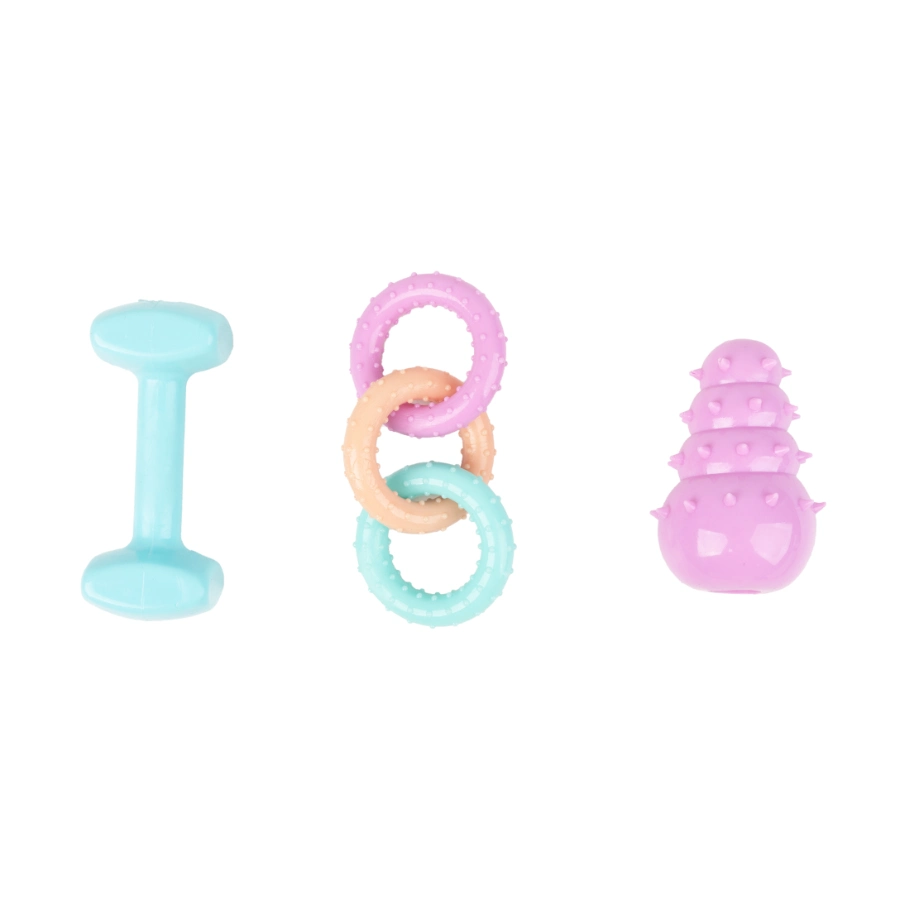 Tootoy! Puppy Training Set, , large image number null