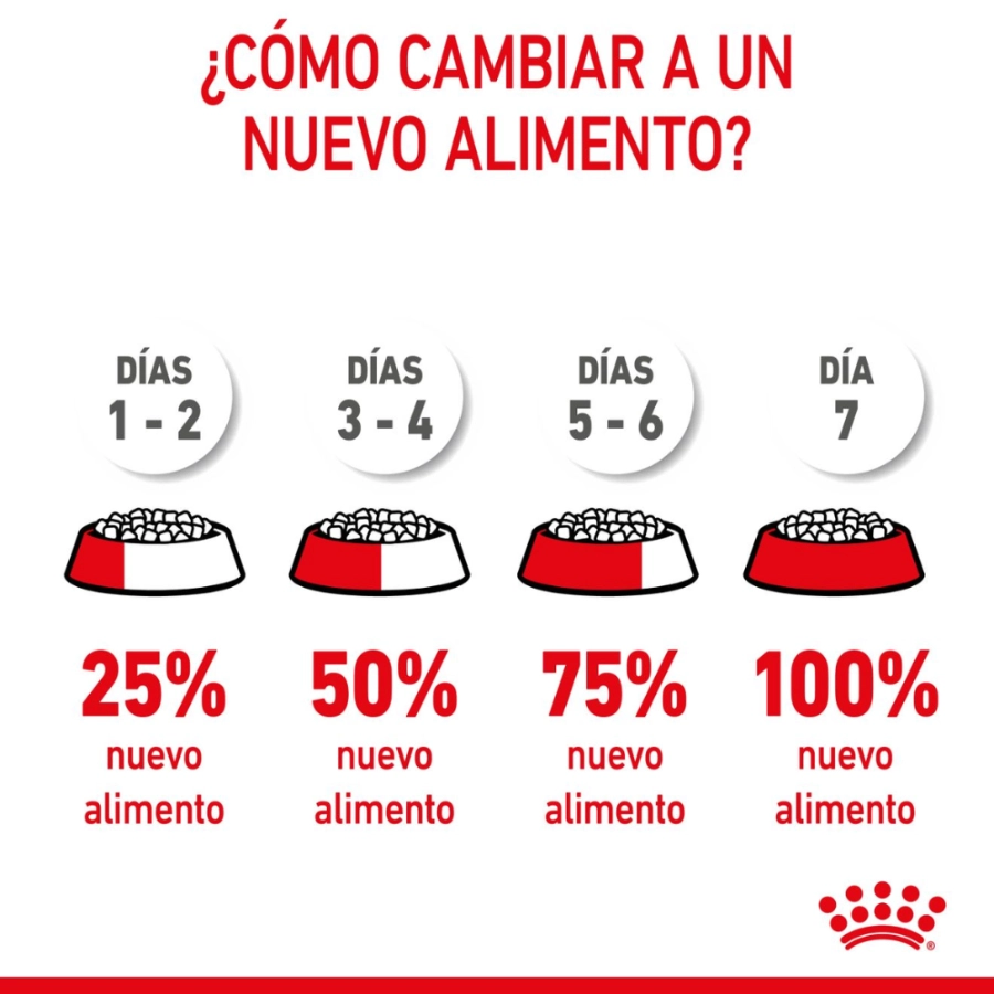 Royal Canin Fhn Kitten Fd 400G, , large image number null