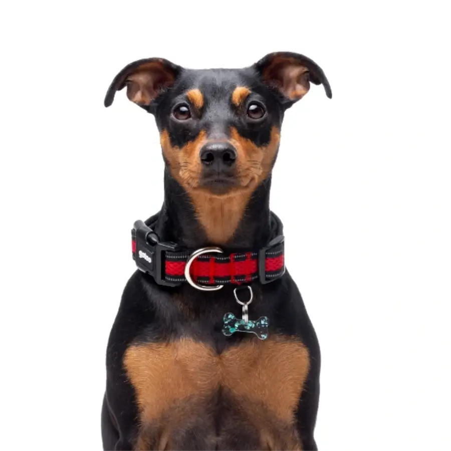 Gotoo! Collar De Malla Rojo, , large image number null