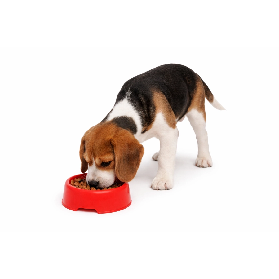 Comedero Pl&aacute;stico Rojo Para Mascota Leeby, , large image number null