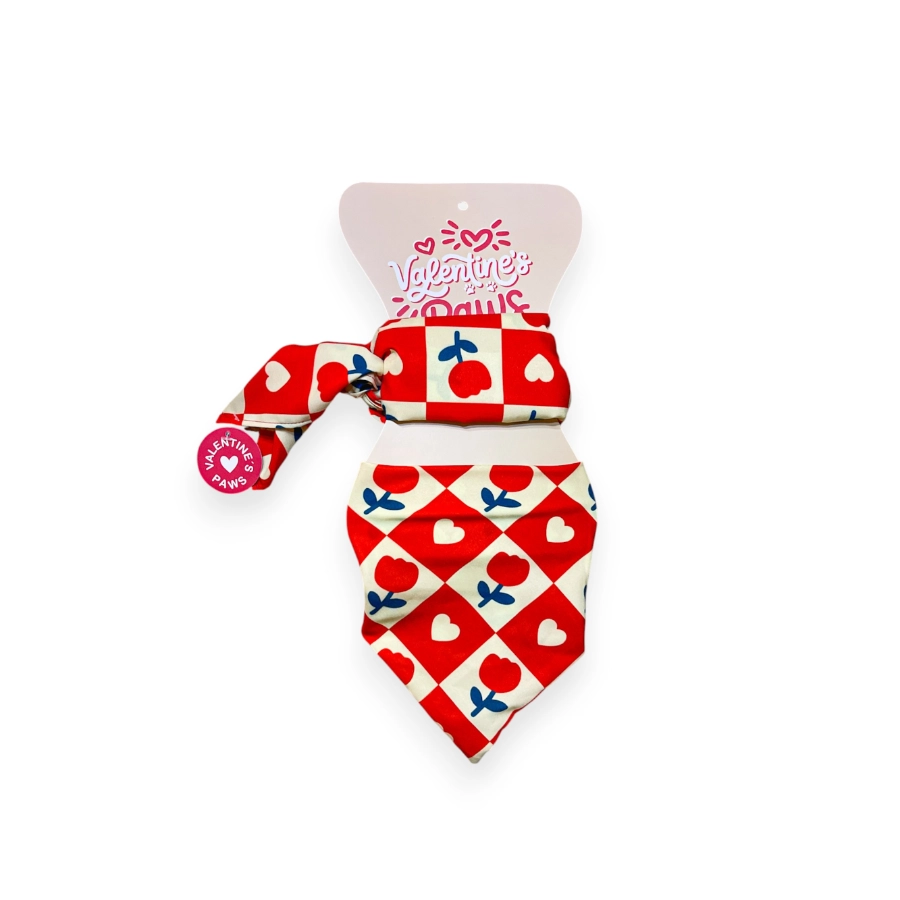 Valentines Paws Bandana Mas Pa&ntilde;oleta, , large image number null