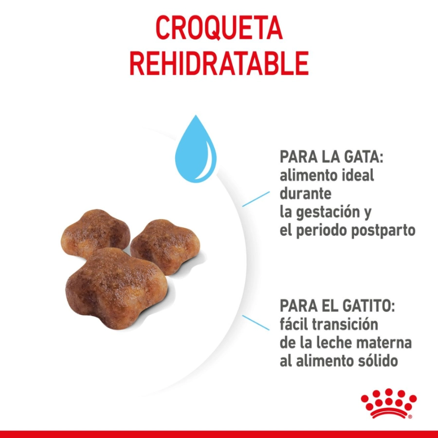 Royal Canin Gato Fhn Mother & Babycat 2 Kg, , large image number null