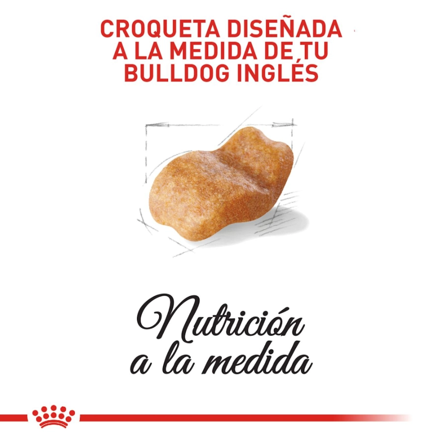 Royal Canin Perro Bhn Bulldog Adult 12 Kg, , large image number null