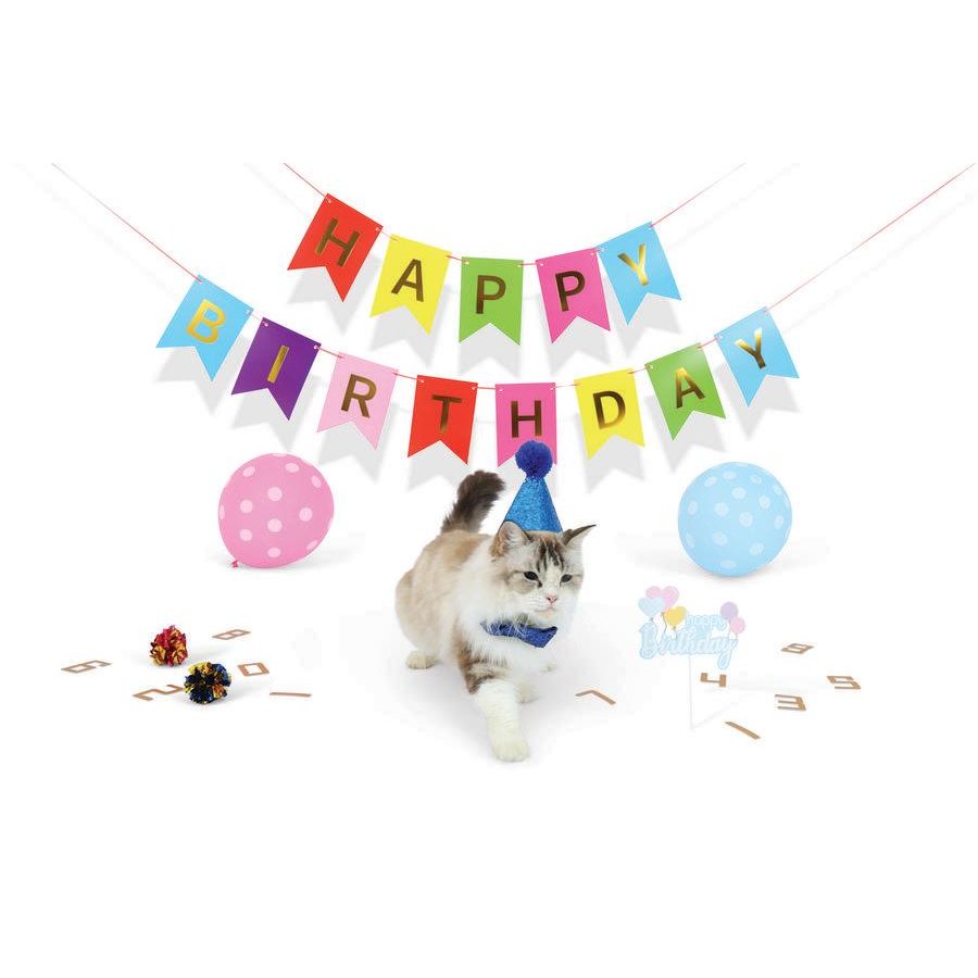 Petjoy Partytime Cat Gentleman'S Set, , large image number null