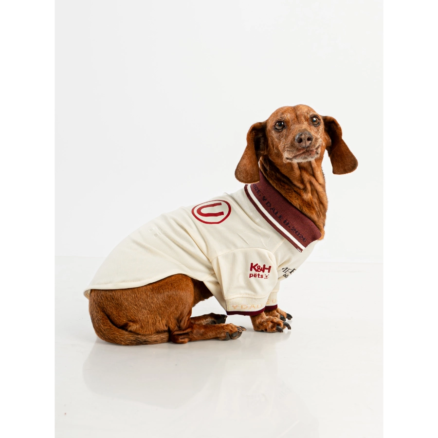 Camiseta Oficial Colecci&oacute;n 2026 Universitario, , large image number null