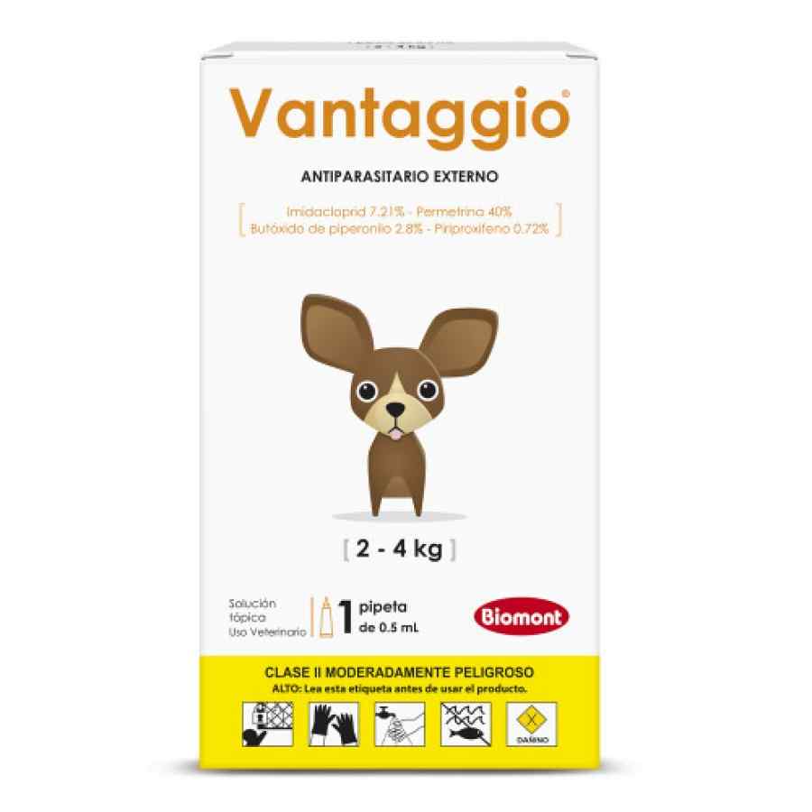 Vantaggio X 0.50 Ml (2kg a 4kg) image number null