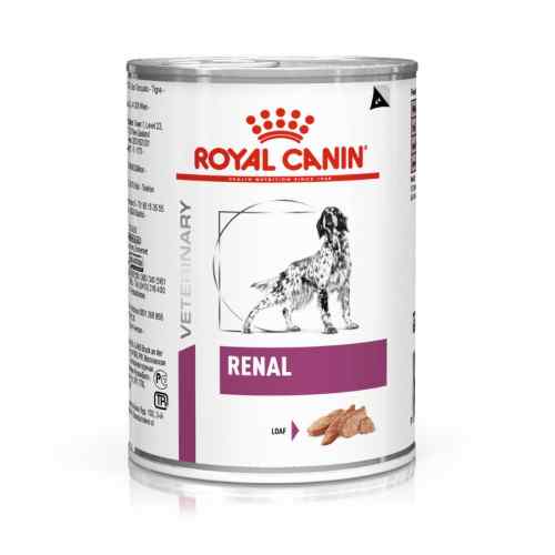 Royal Canin Vhn Dog Renal 410 Gr image number null
