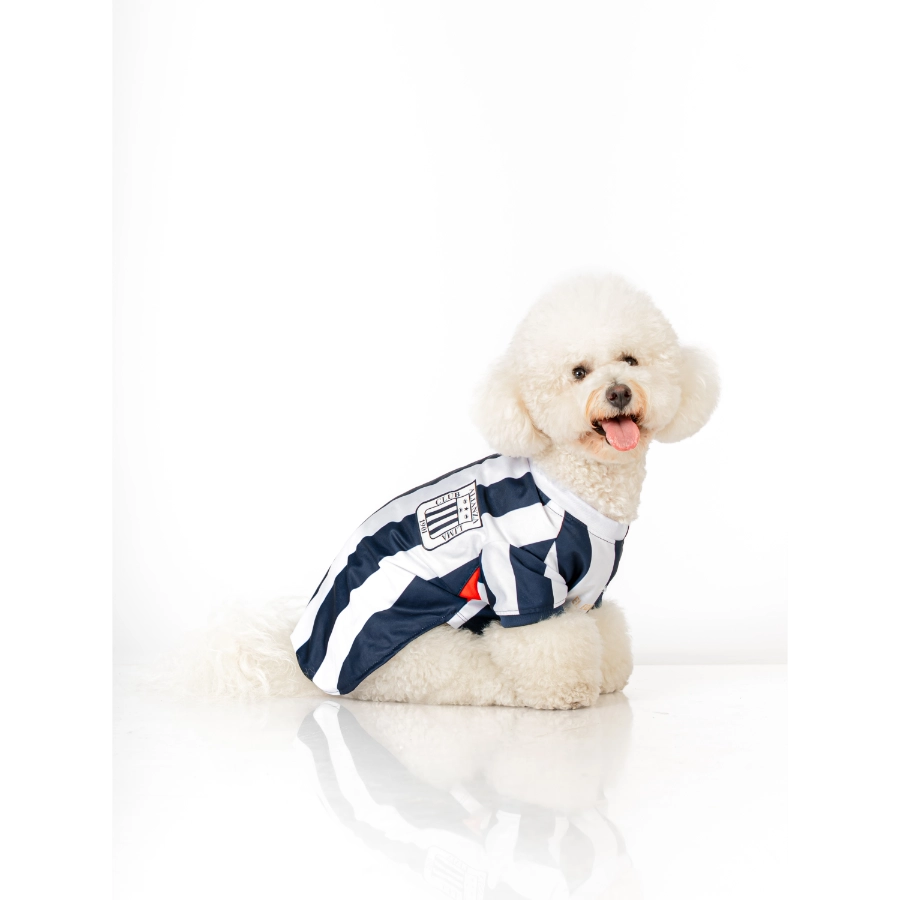Camiseta Oficial Colecci&oacute;n 2026 Alianza Lima, , large image number null