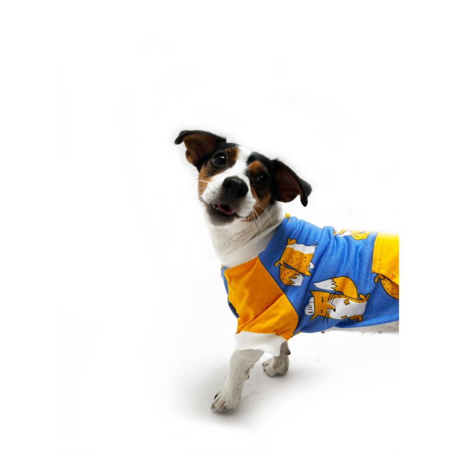 Yupi The Pug - Polo Surtido Macho, , large image number null