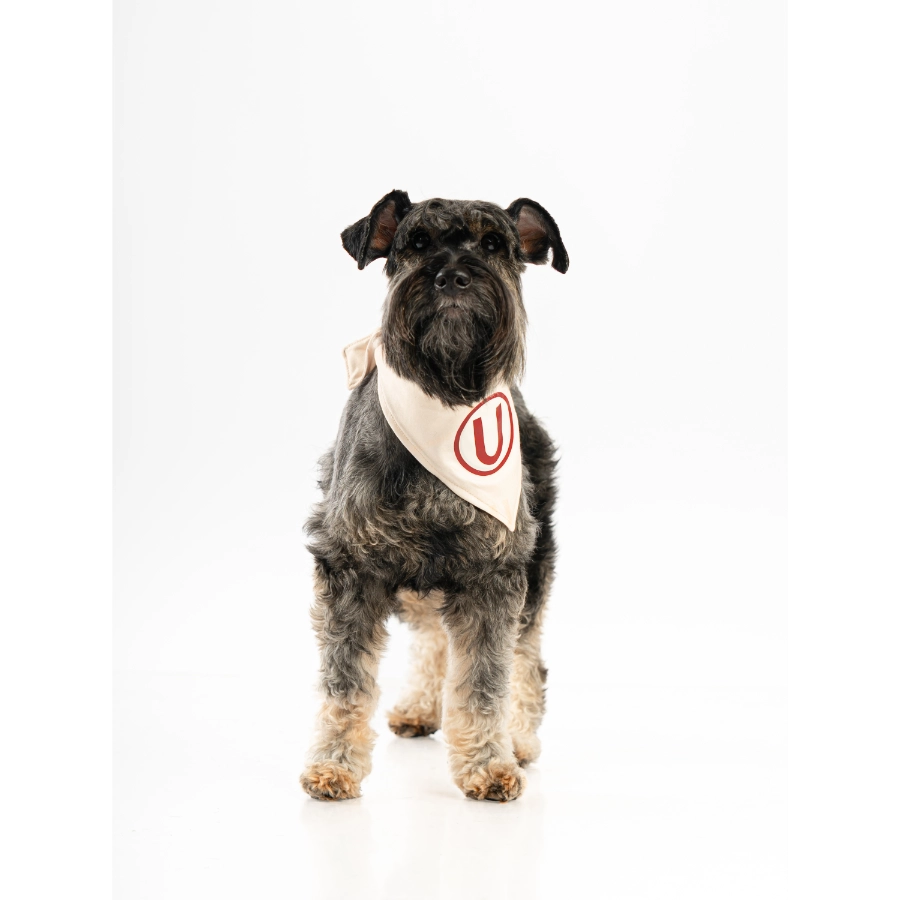 Bandana Oficial Colecci&oacute;n 2026 Universitario, , large image number null
