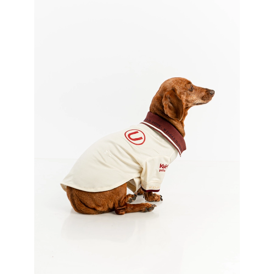 Camiseta Oficial Colecci&oacute;n 2026 Universitario, , large image number null