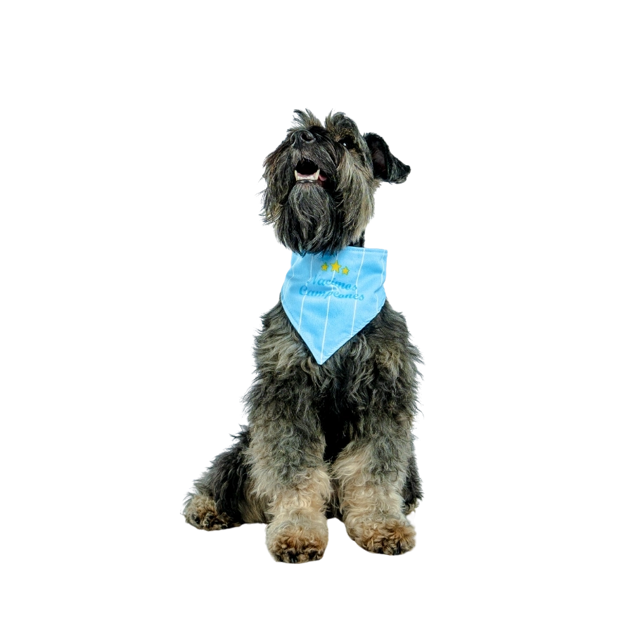 Bandana Oficial Sporting Cristal Colección 2025, , large image number null
