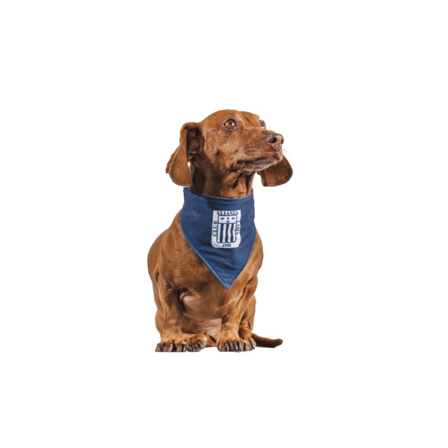 Bandana reversible oficial alianza lima
